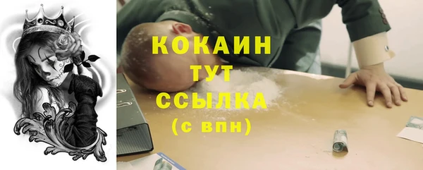 индика Аркадак